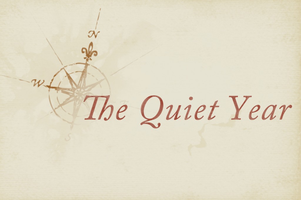 The Quiet Year