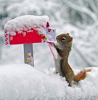 The Squirrel Interleaf Postal Arrangement